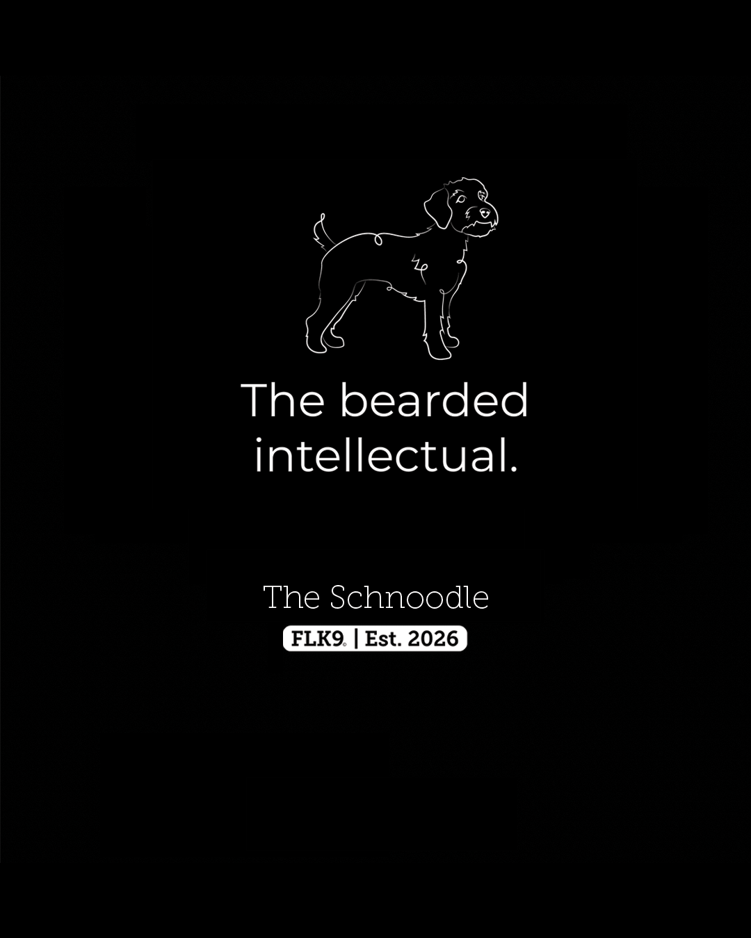 Schnoodle