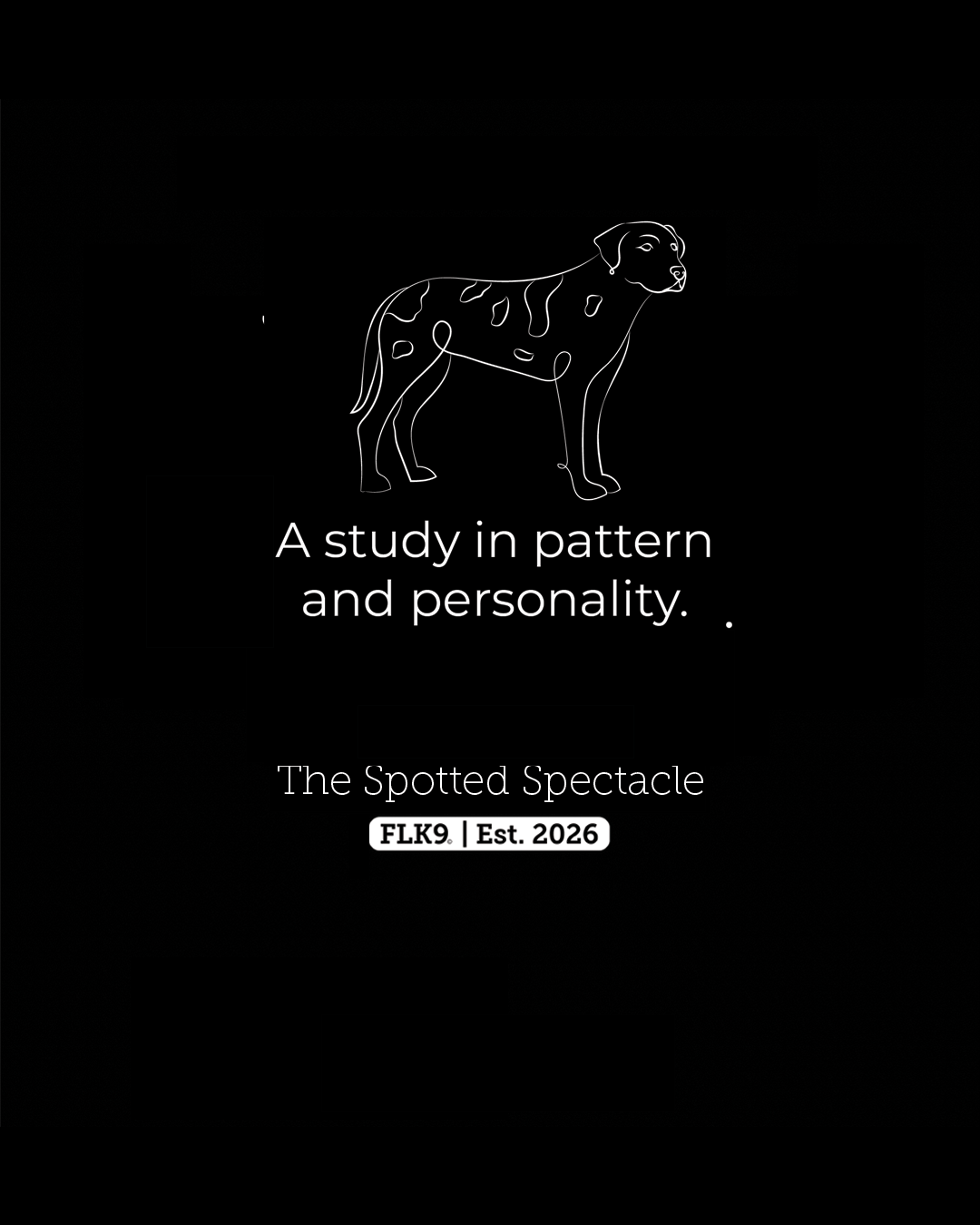 Spotted Spectacle (Blue Heeler, Dalmatian, or Catahoula crosses)